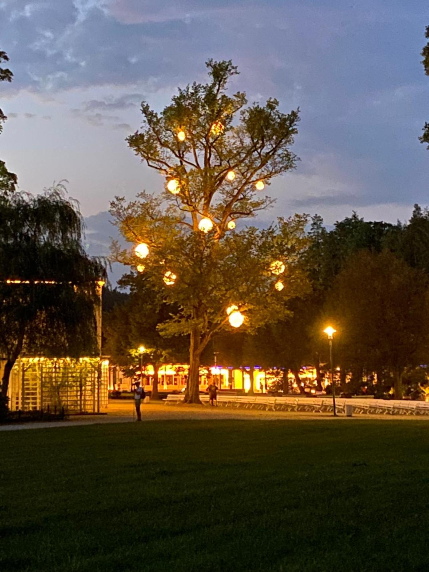 Fewo Roland Ranft Direkt Am Kurpark Barrierearm 60Qm Bad Elster Exteriér fotografie