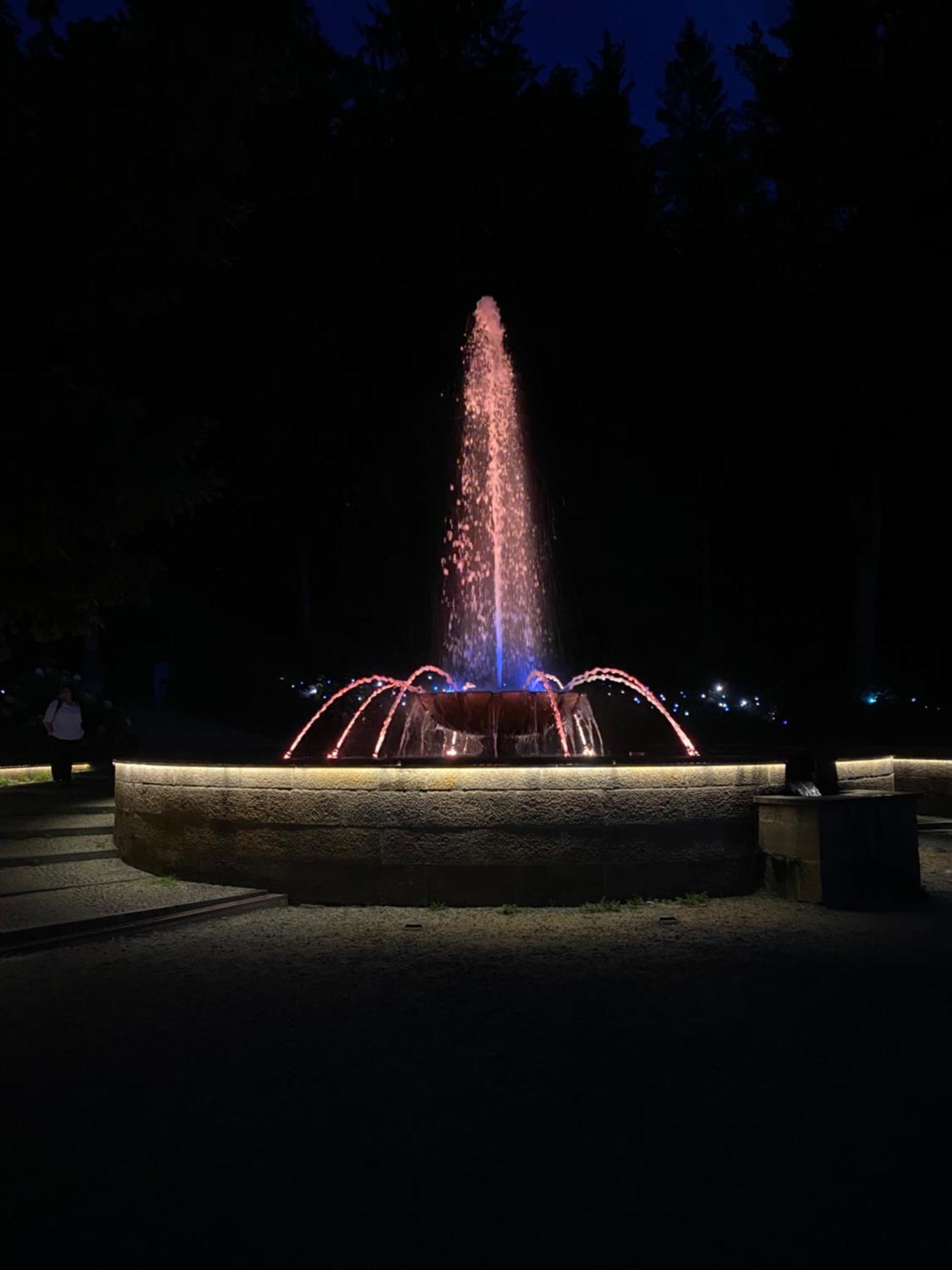Fewo Roland Ranft Direkt Am Kurpark Barrierearm 60Qm Bad Elster Exteriér fotografie