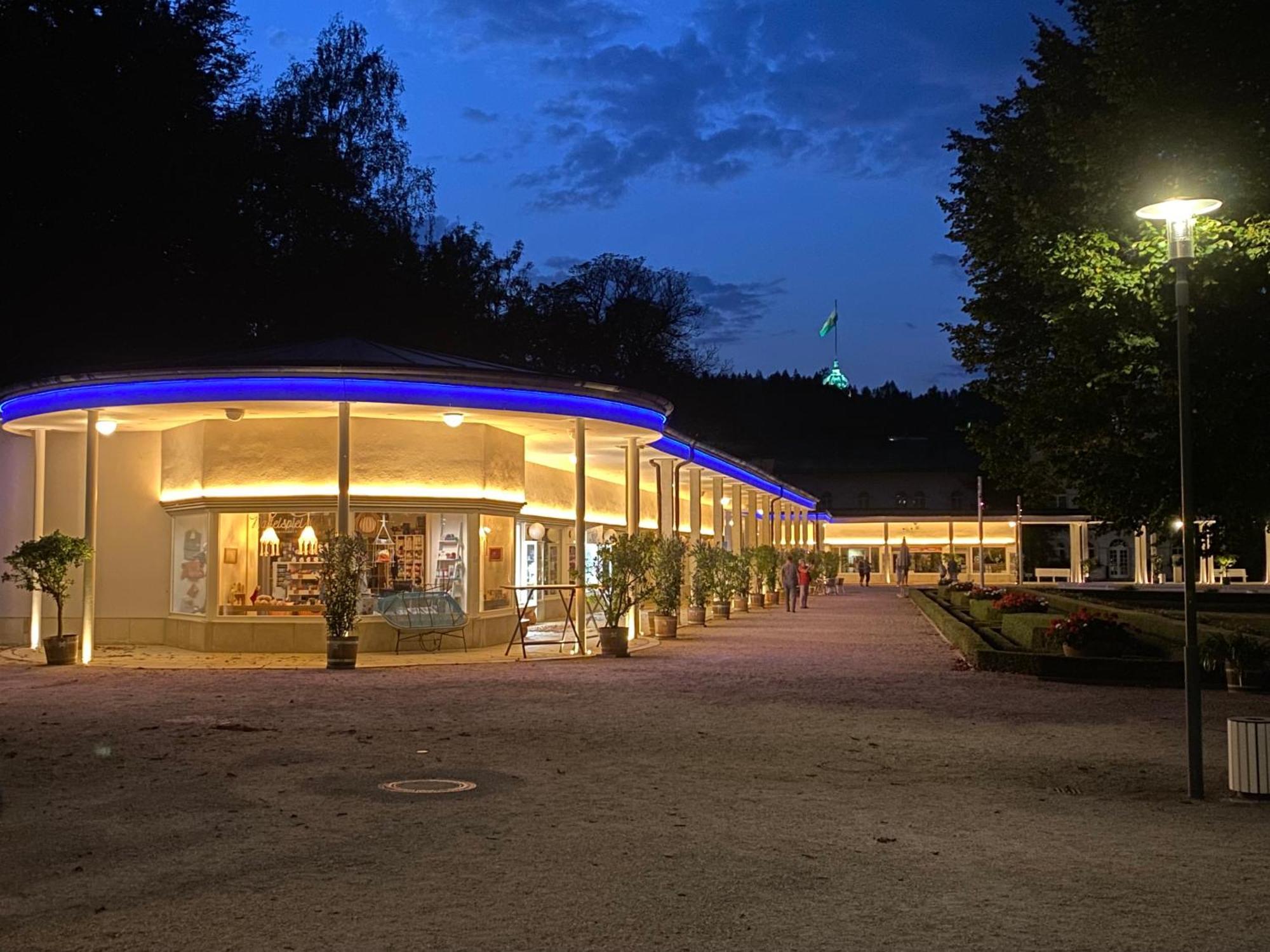 Fewo Roland Ranft Direkt Am Kurpark Barrierearm 60Qm Bad Elster Exteriér fotografie